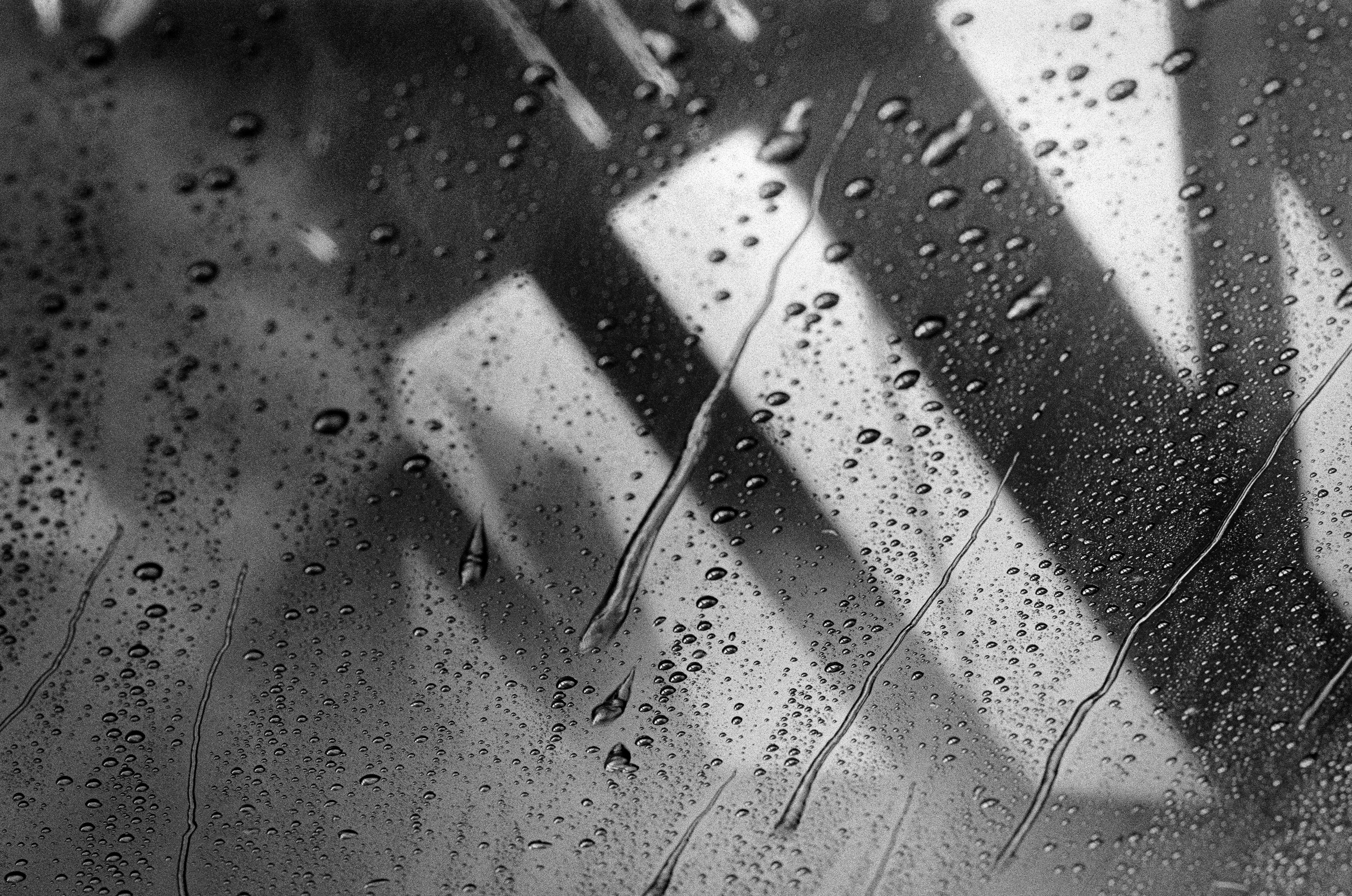 Morning Wash